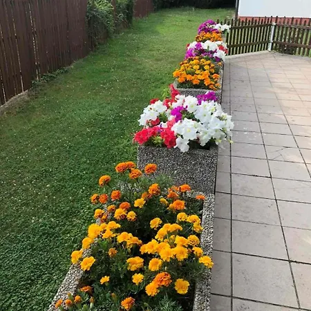 Park 伊泽拉河畔贝纳特基